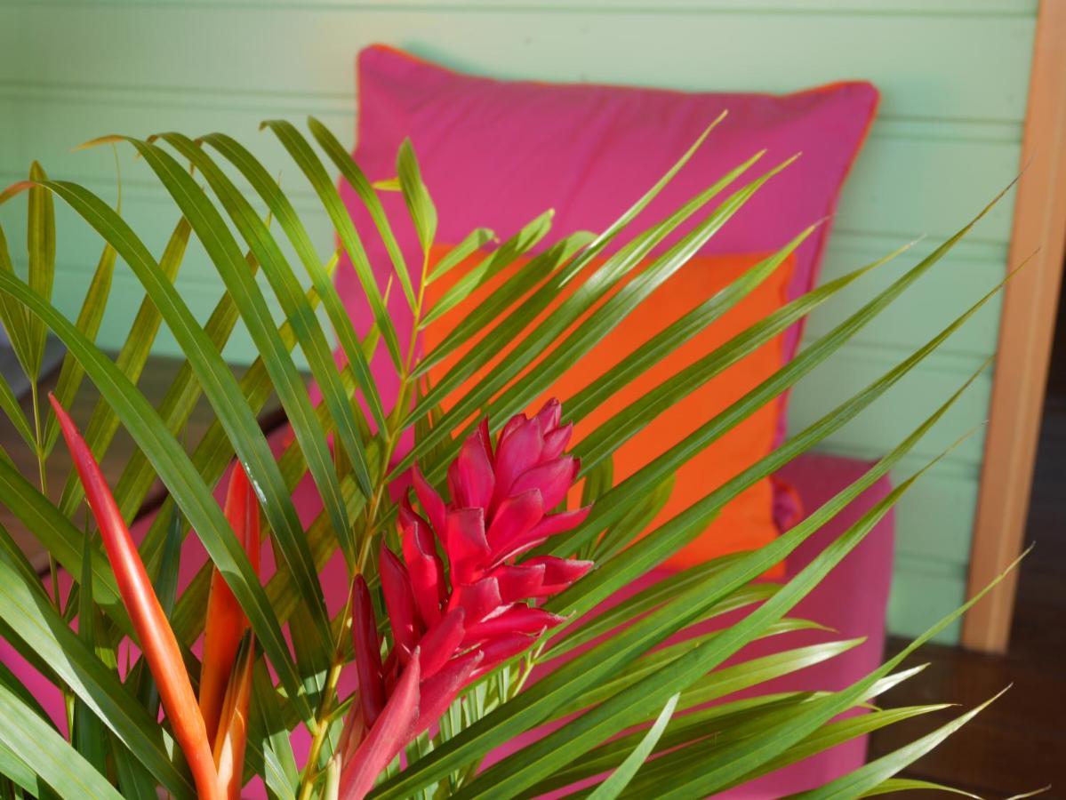 La Joupa Case Anthurium Сент-Роз Экстерьер фото