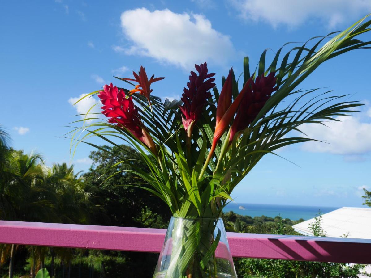 La Joupa Case Anthurium Сент-Роз Экстерьер фото